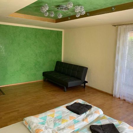 Nexi S Appartement An Der Enns 9 Radstadt Eksteriør billede