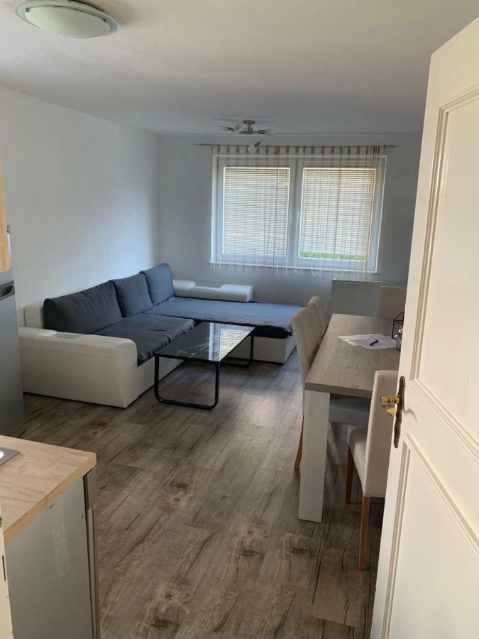 Nexi S Appartement An Der Enns 9 Radstadt Eksteriør billede